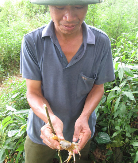 Anh[-]Kà[-]Văn[-]Huy[-]và[-]con[-]cua[-]vừa[-]bắt[-]được.[-]